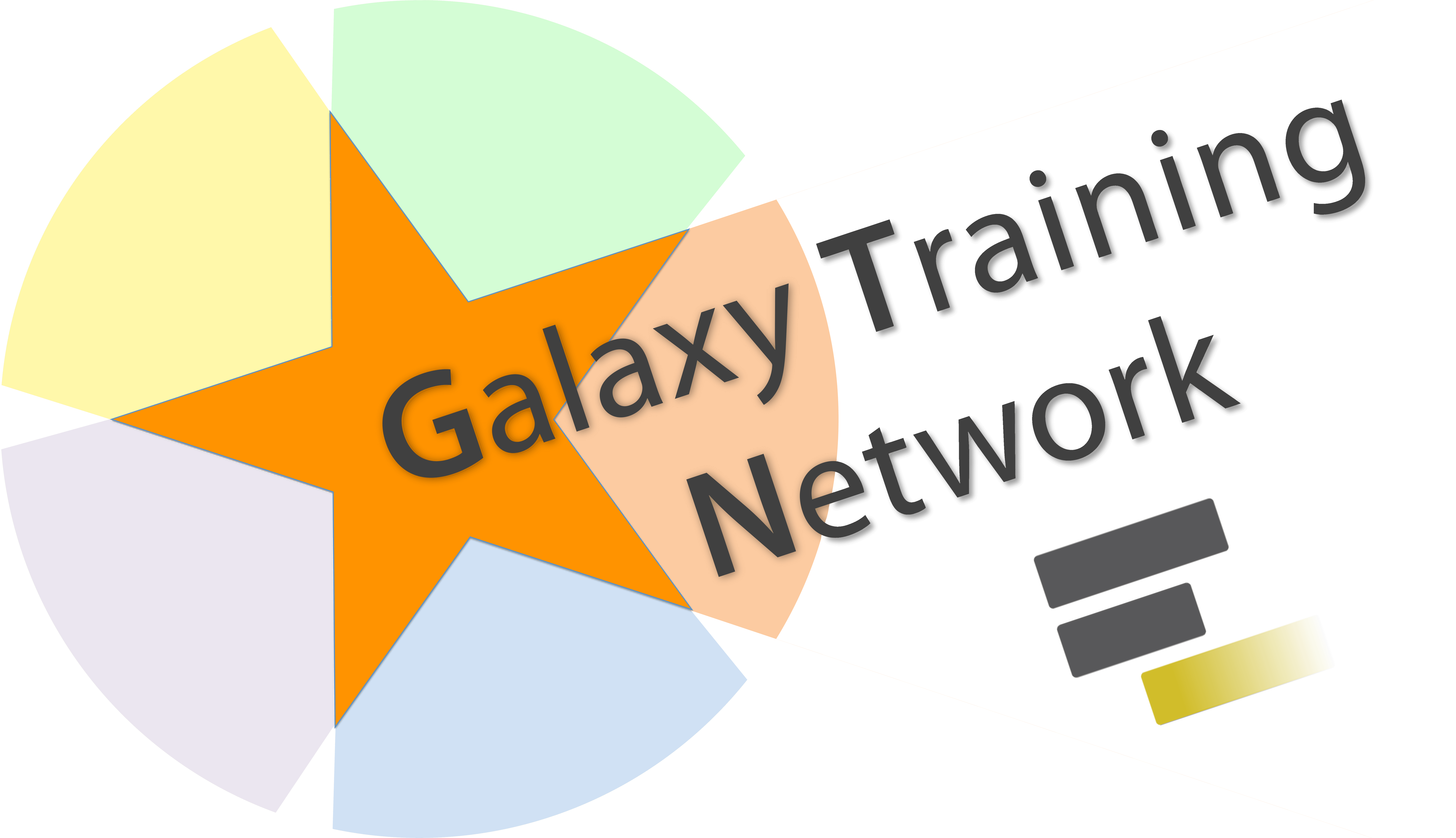 Galaxy Training Network Logo